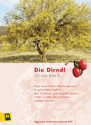 Datei:Cover Dirndlmonografie.jpg
