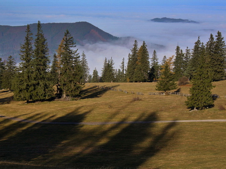 Datei:Alm auf Muckenkogl.jpg