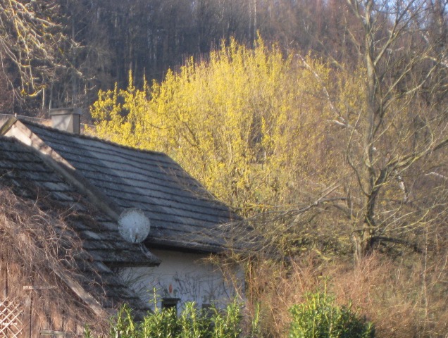 Datei:Frühling 2014.jpg