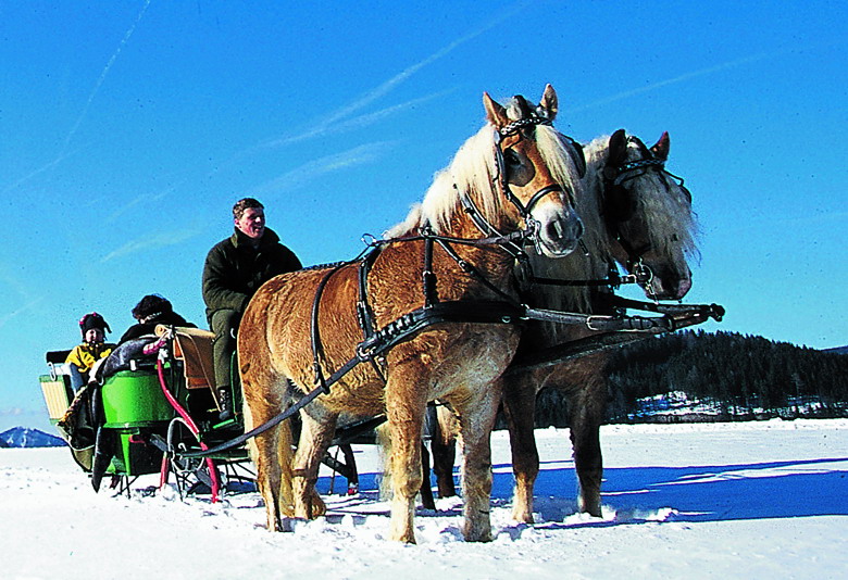 Datei:Schlittenfahrt Annaberg.jpg