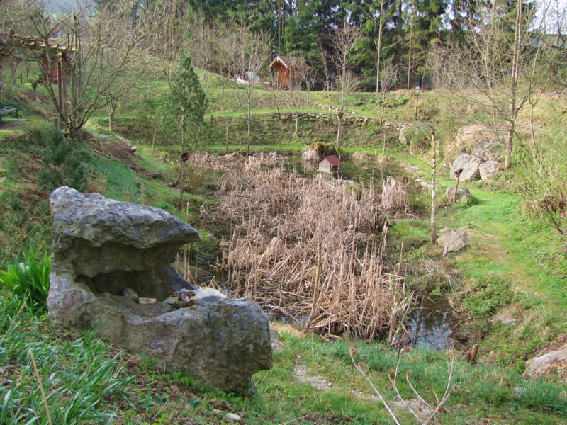 Datei:SH Südgartenbiotop im März.jpg