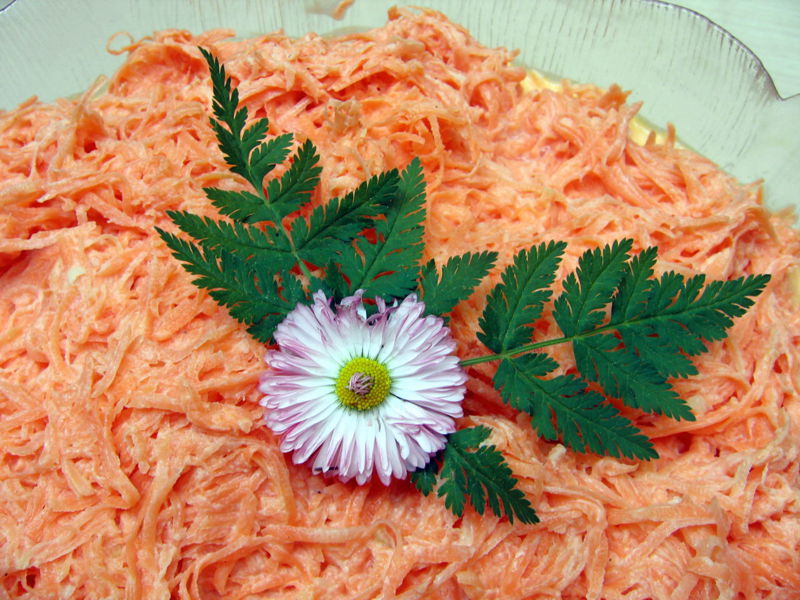 Datei:Karottensalat mit Blüte.jpg