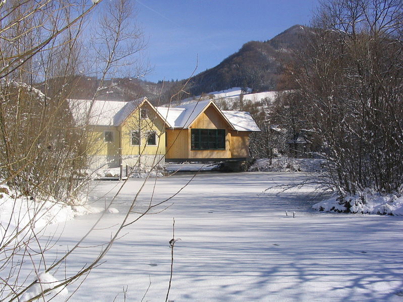 Datei:Teichbrücke im Winter red.jpg