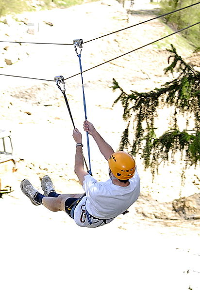 Datei:Flying Fox RCI.jpg