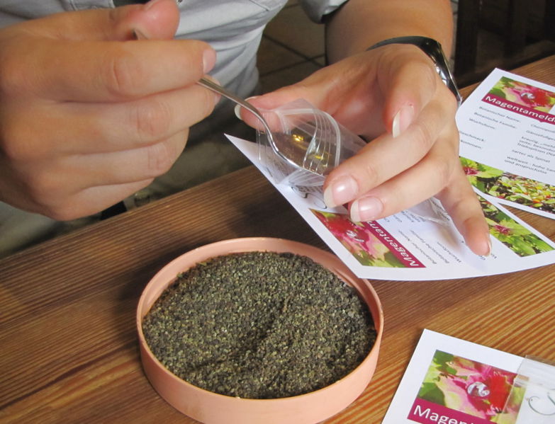 Datei:Magentamelde-Karte Samen.jpg