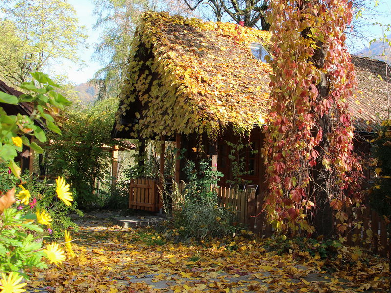 Datei:SH Gartenhaus 21 Herbst.JPG