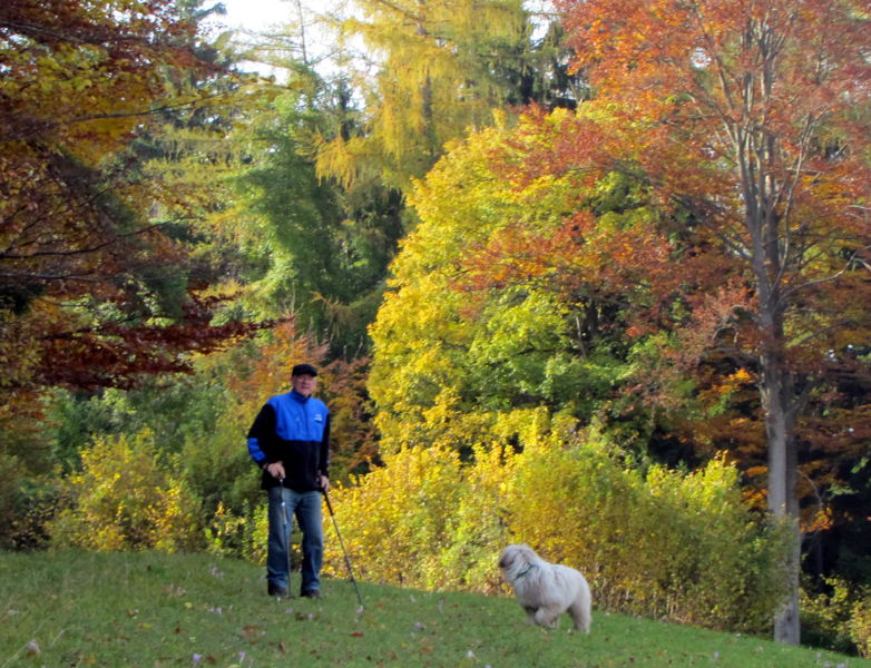 Datei:Herbstwanderung Helmut.jpg