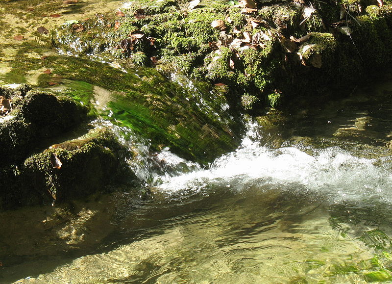 Datei:Soiserbach3 Sommer 2009.jpg