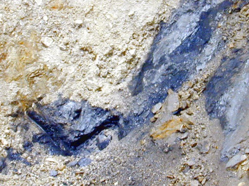 Datei:SD Kohleader.jpg