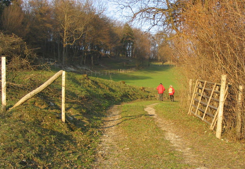 Datei:Grünes Wandern - Winter.jpg