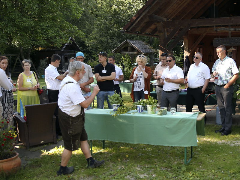 Datei:WK-Bauchtanz JW Pfluaghittn.jpg