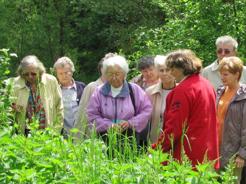Datei:SG Führung Frieda.jpg