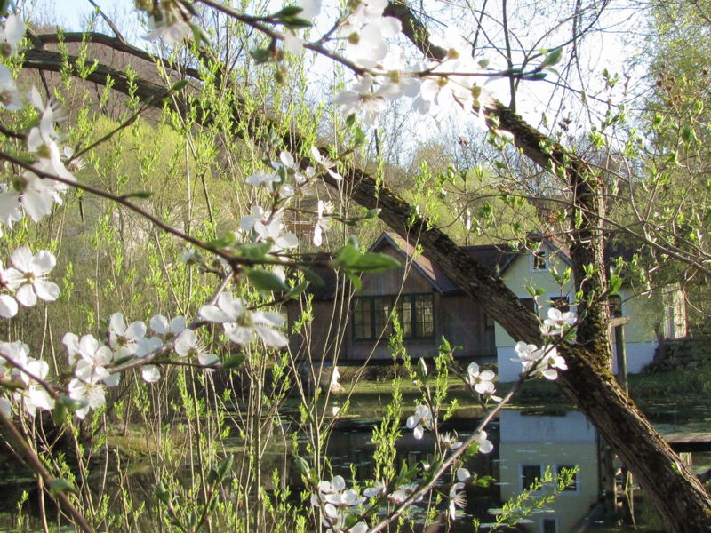 Datei:SH SG Teichbrücke Frühjahr.jpg