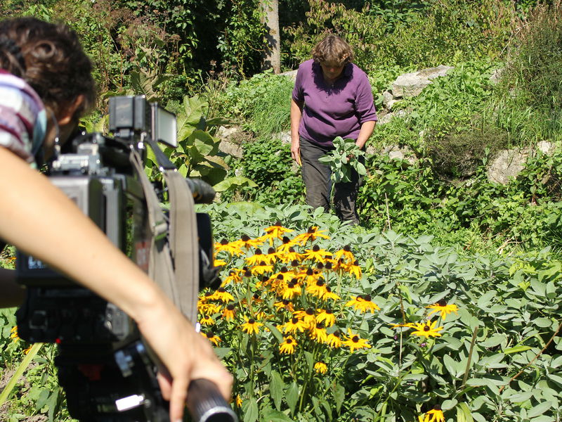 Datei:Sg Frieda Fernsehen14.jpg