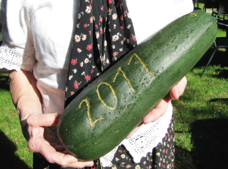 Datei:SG Zucchini mit 2011.jpg