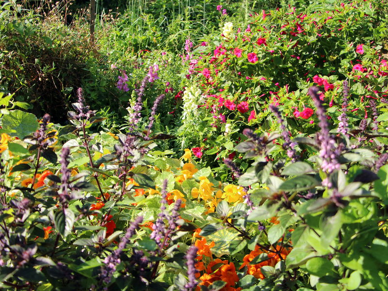 Datei:SG Naturgartenvielfalt r.JPG