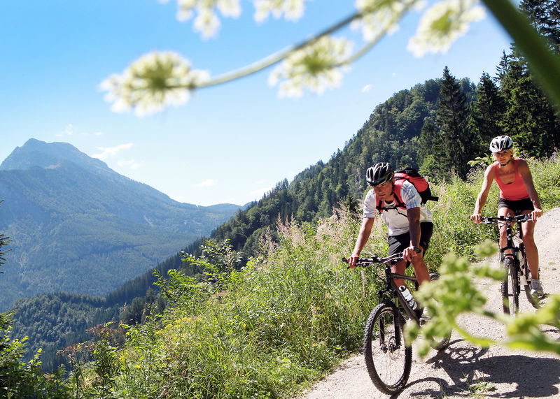 Datei:Mountainbiken beim Ötscher.jpg