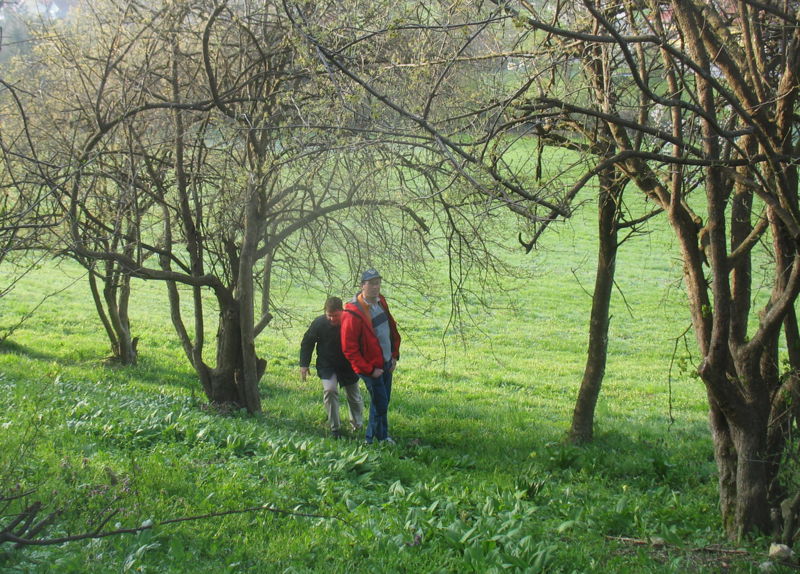 Datei:Alte Dirndln Morgenwanderung.jpg
