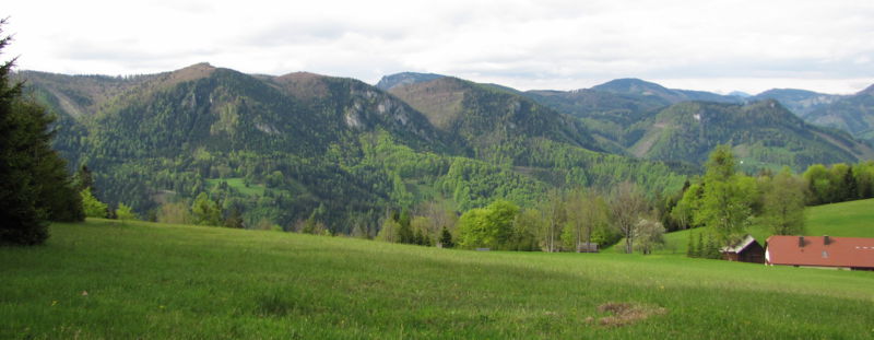 Datei:Loicheck.jpg