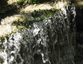 Soiserbach1 Wasser.jpg