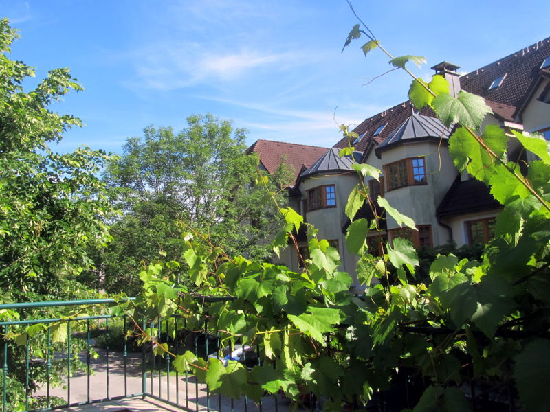 Datei:SH Blick v Rezeotionsterrasse.jpg