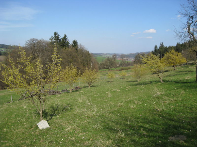 Datei:IMG 3195.JPG