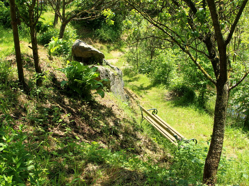 Datei:SH Südgarten im Sommer - Bank .jpg