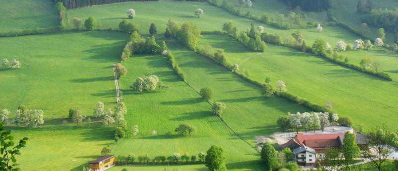 Datei:SG Landschaftsstreifen Tradigist.jpg