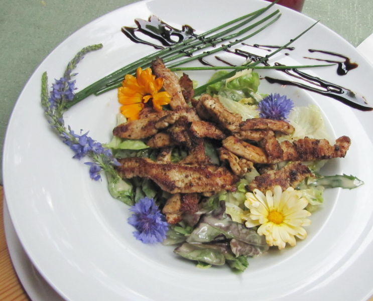 Datei:SG-Wildkräutersalat mit Truthahn.jpg