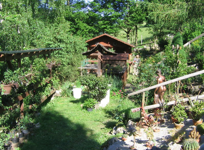 Datei:GartenFuchsien Vroni.jpg