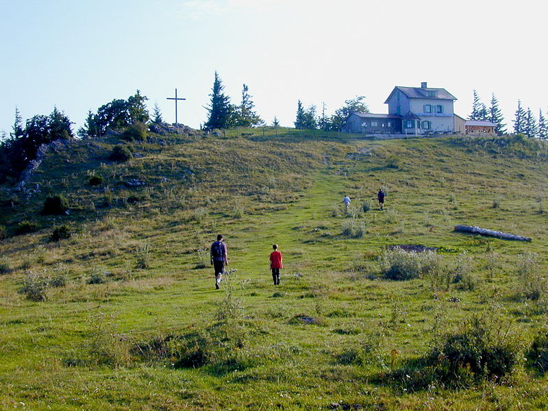 Datei:Eisenstein Morgen Alm.jpg