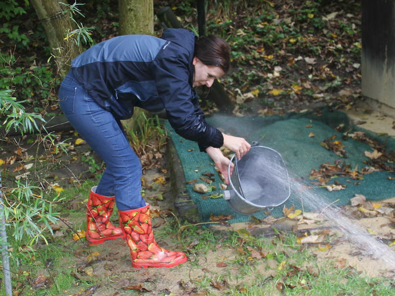 Datei:ALMO Eimerhalterin4.jpg