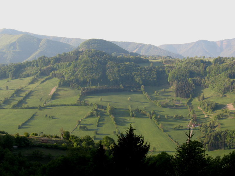 Datei:KL Eben Eibenb.jpg