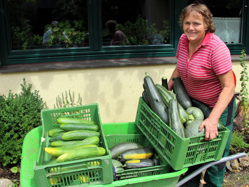 Datei:Frieda Beerenlieferung Scheibtruhe.jpg