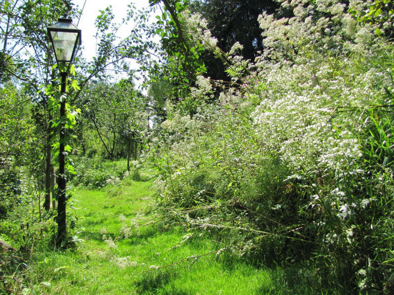 Datei:SG Südgarten Natur.jpg