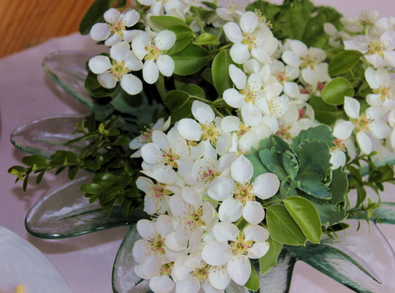 Datei:SH Binblütendeko.jpg