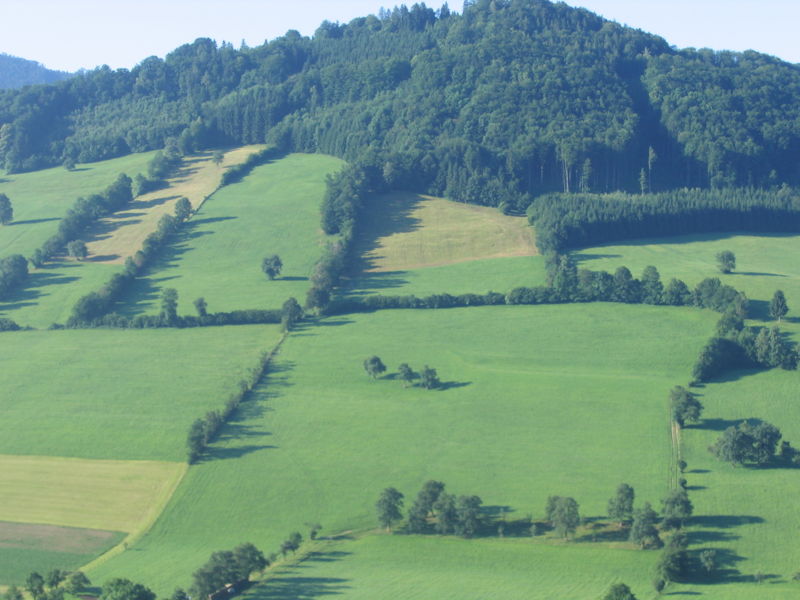 Datei:Kulturlandschaft 15.JPG