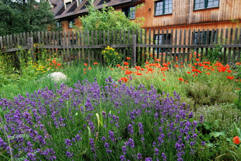 Datei:Hausgarten auf Mostinium.jpg