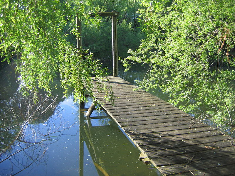 Datei:Steg am Steinschaler Teich.jpg