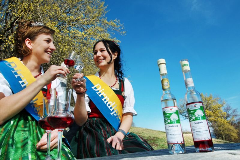 Datei:Dirndlköniginnen Hofberg Weinfranz kleiner.JPG