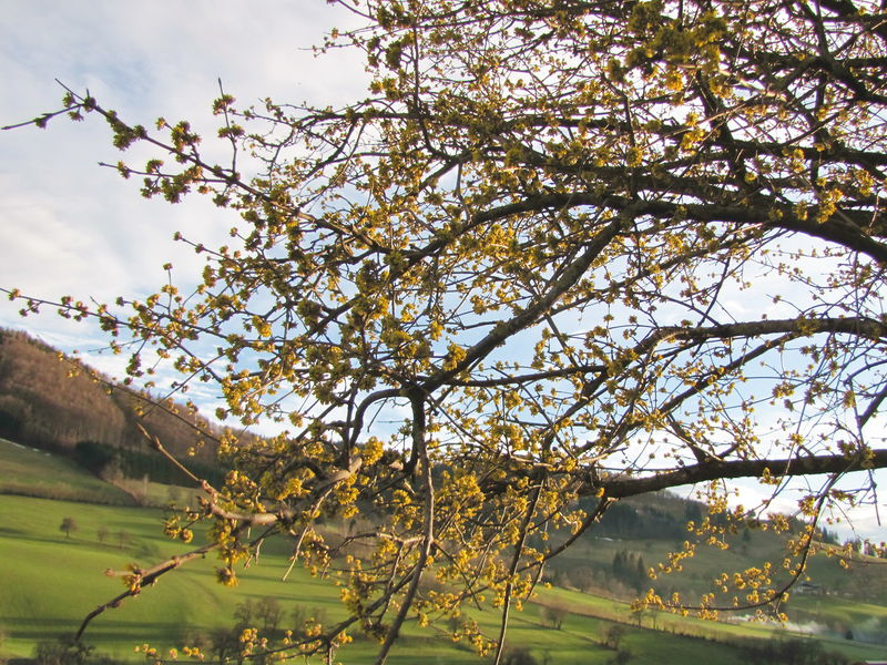 Datei:KL Dindlblick.jpg