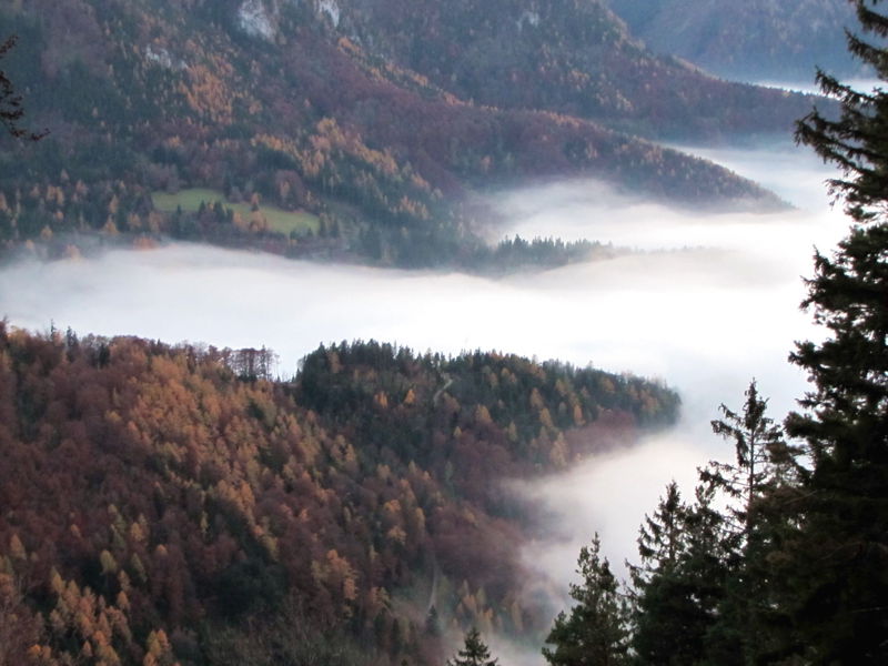 Datei:EST Leputschpl Abendnebel.jpg
