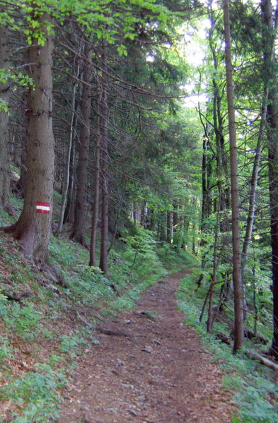 Datei:Waldweg zum Eisenstein.jpg
