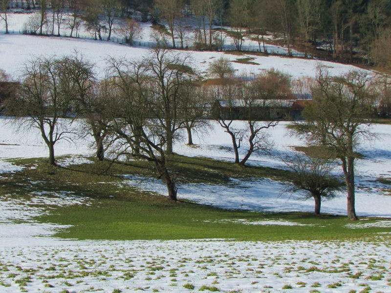 Datei:HR Streuobst Zauner März13.jpg