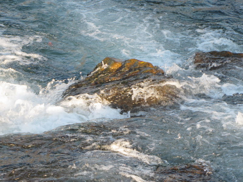 Datei:Pielach Solbank König.jpg