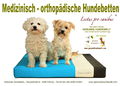 Gesunde Hundewelt 900px.jpg