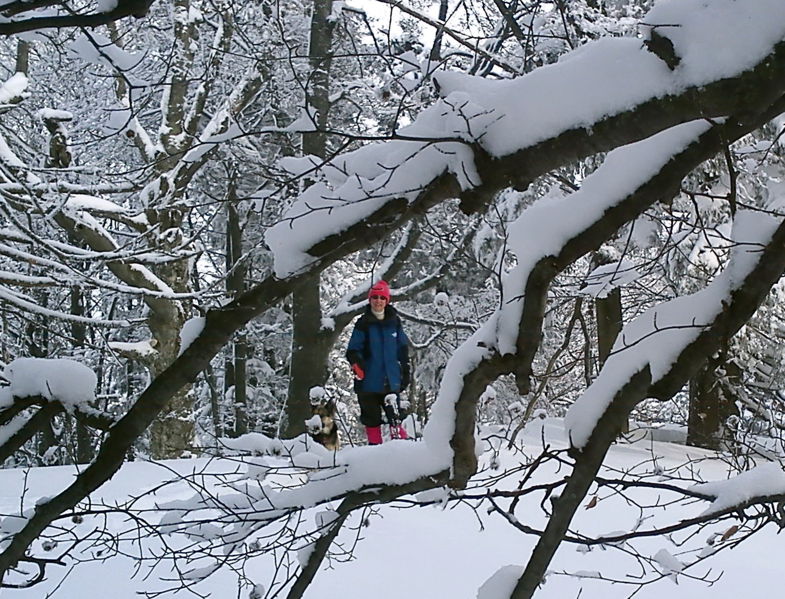 Datei:EST Winter Piesl.jpg