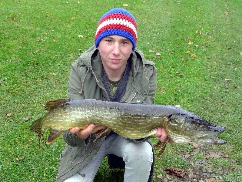 Datei:Hecht - Steinschaler Teich.jpg