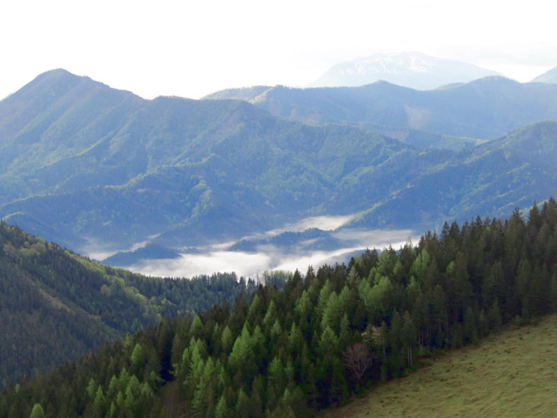 Datei:EST Blick Osten Frühjahr.jpg