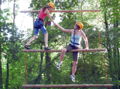 High EL-Giant Ladder.jpg